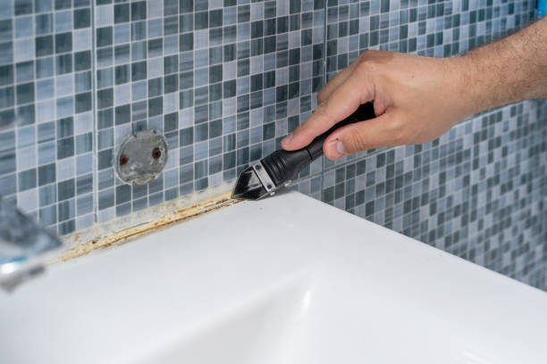 Best Commercial Mold Removal  in Black Canyon City, AZ